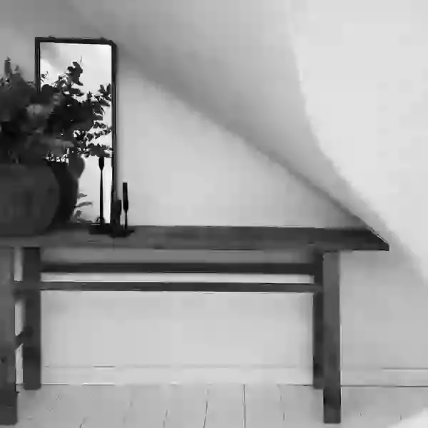 Elm Console